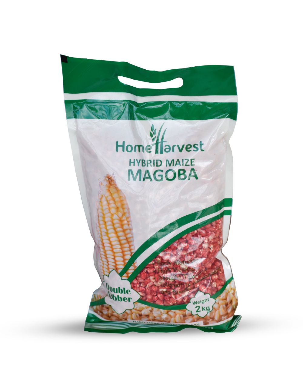 MAGOBA Hybrid Maize