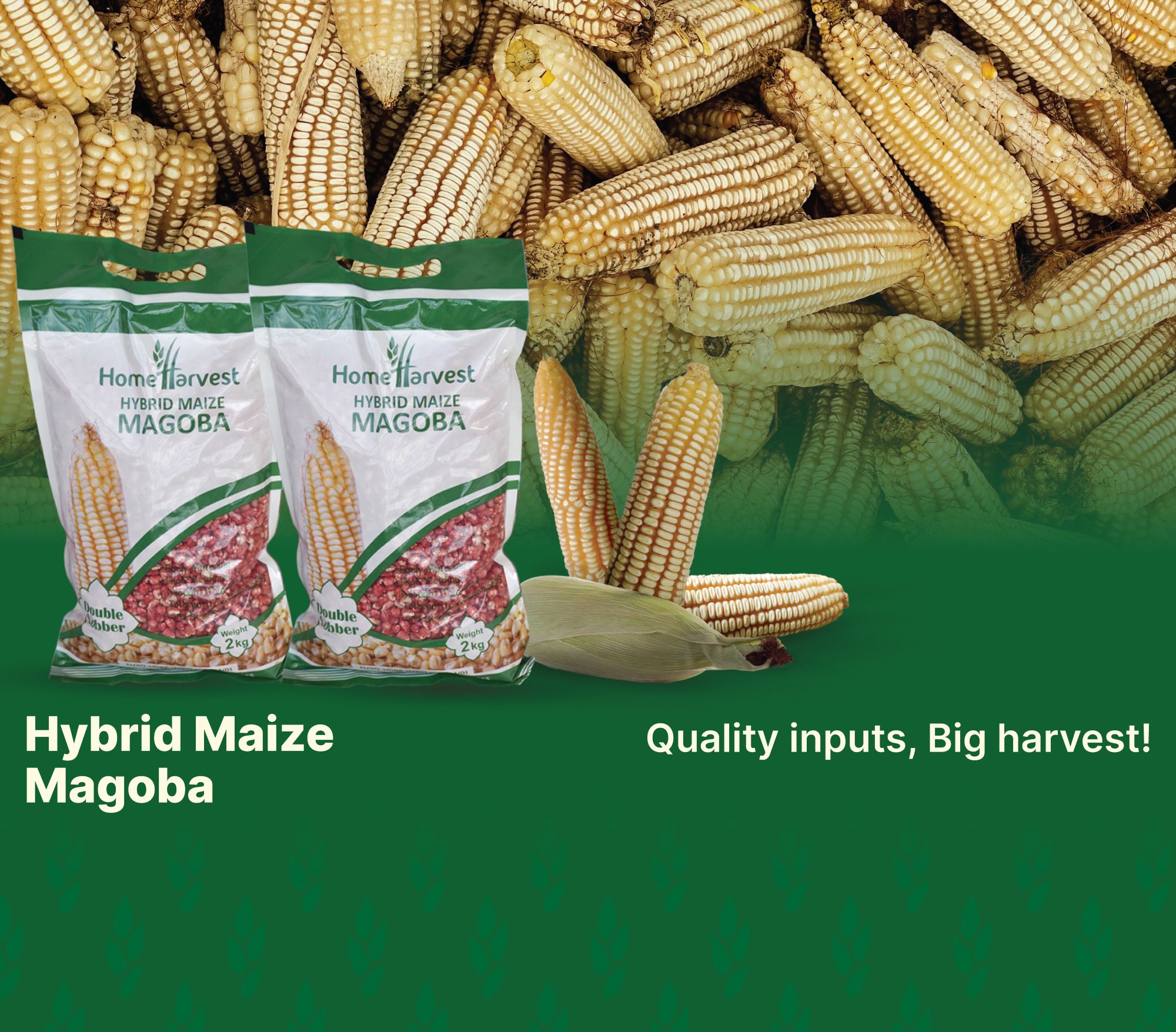Don't Miss the 31st National Agricultural Show 2025