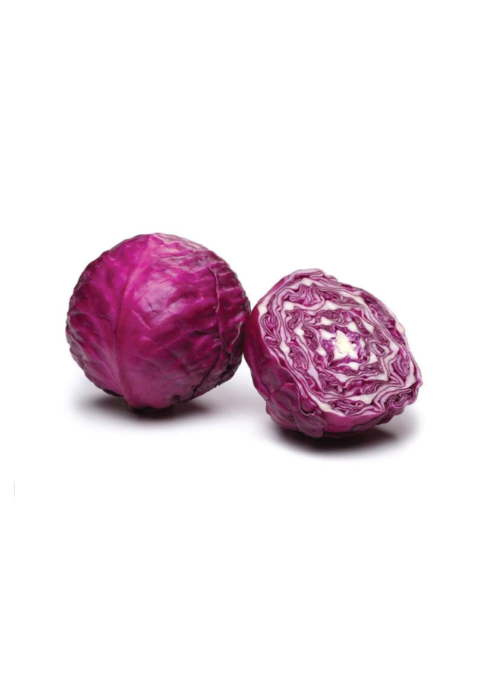 Hybrid Red Cabbage Bavero F1