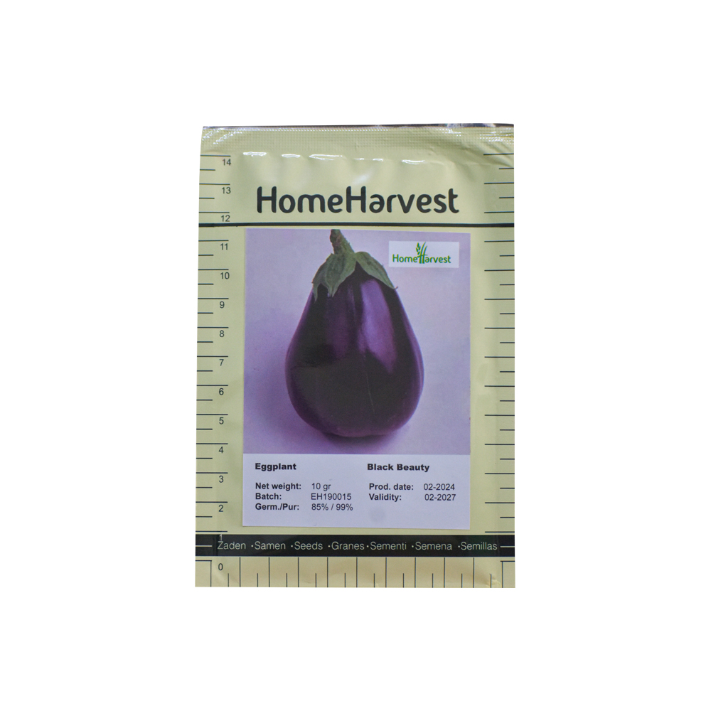 Black Beauty Eggplant