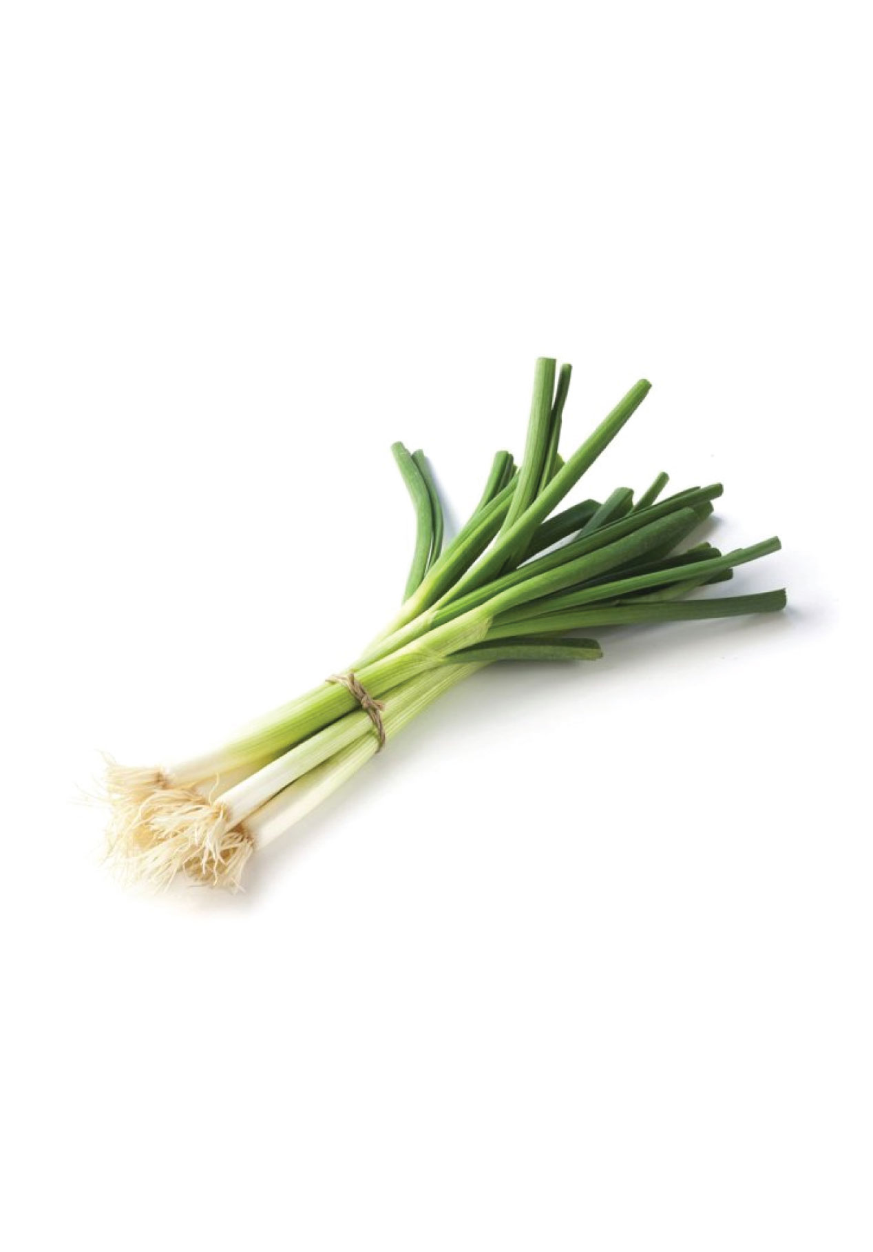 Bunching Onion Seeds