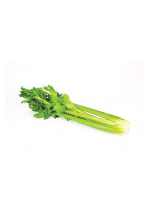 Cutting Celery - Gewone Snij