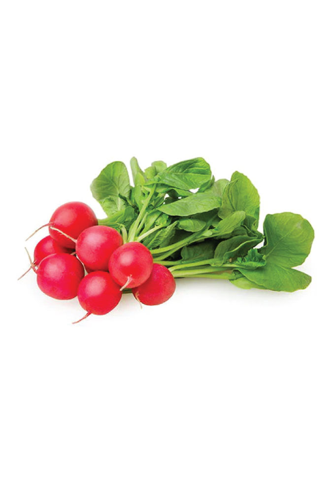 Radish Cherry Belle