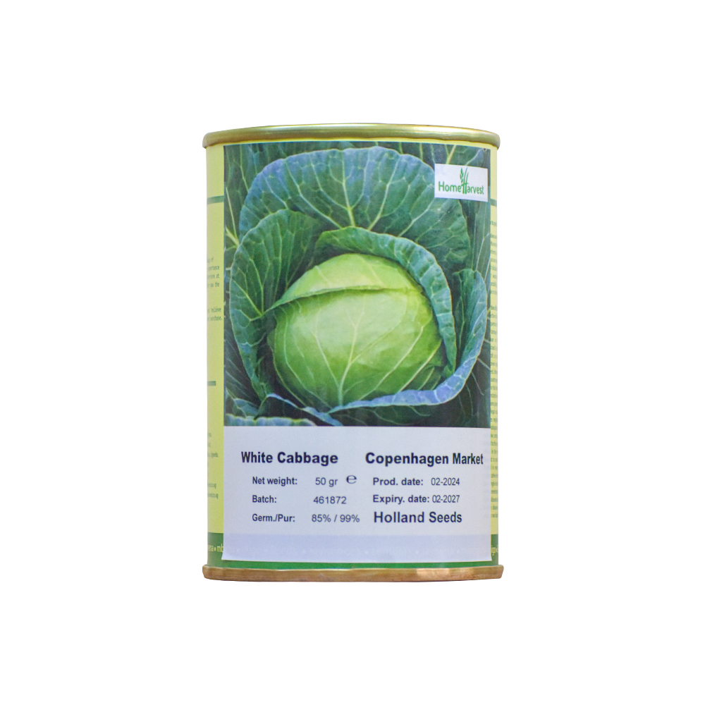 Cabbage Copenhagen