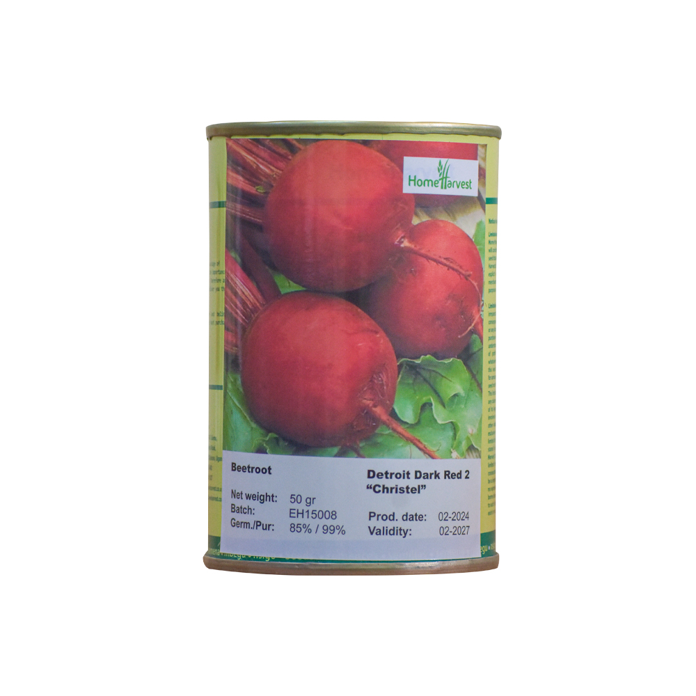 Beet Root Detroit Dark Red