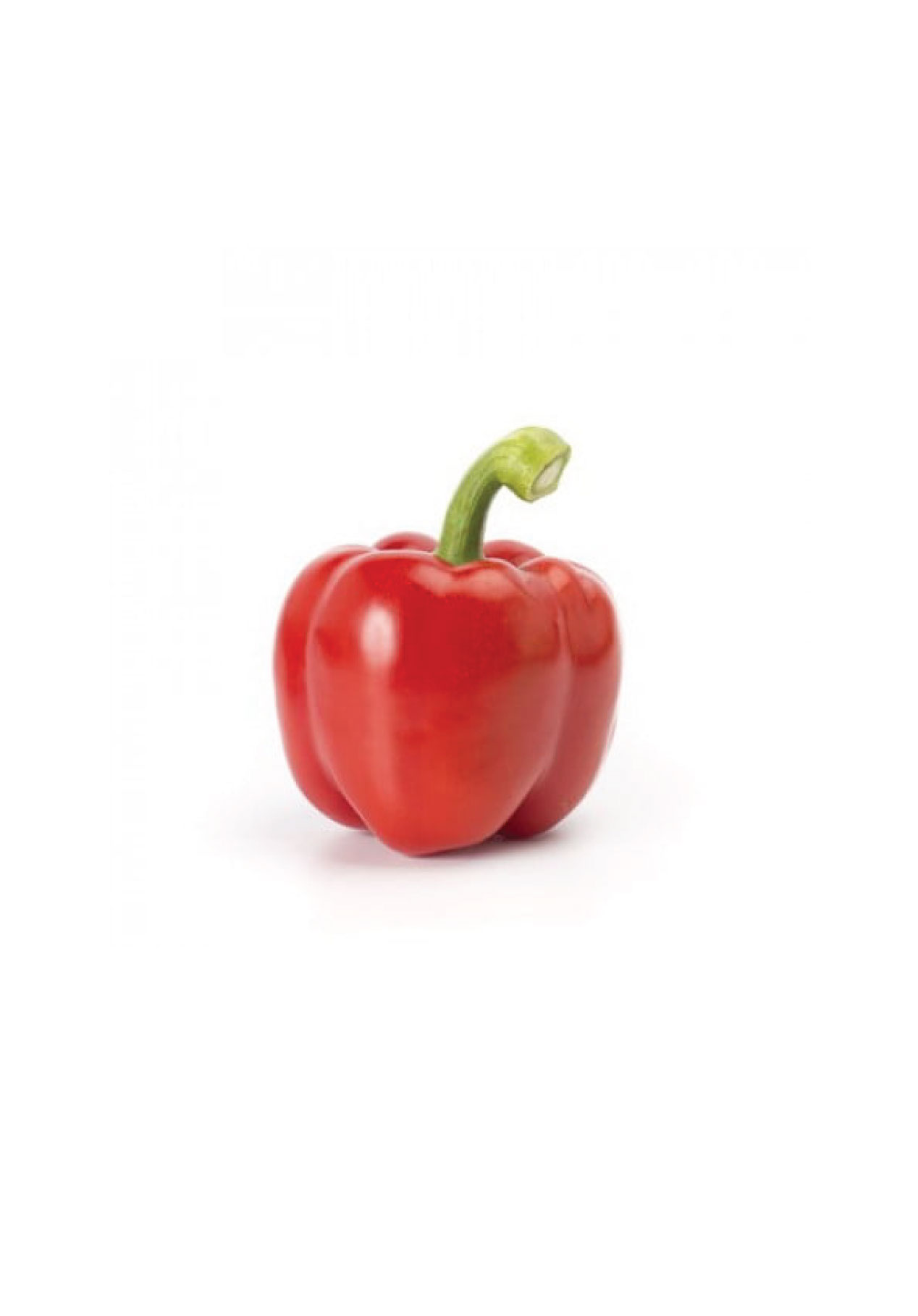 Frey F1 - Red Sweet Pepper