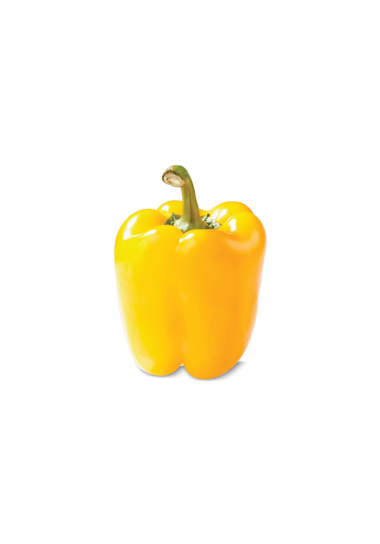 Gisselle F1 - Yellow Sweet Pepper