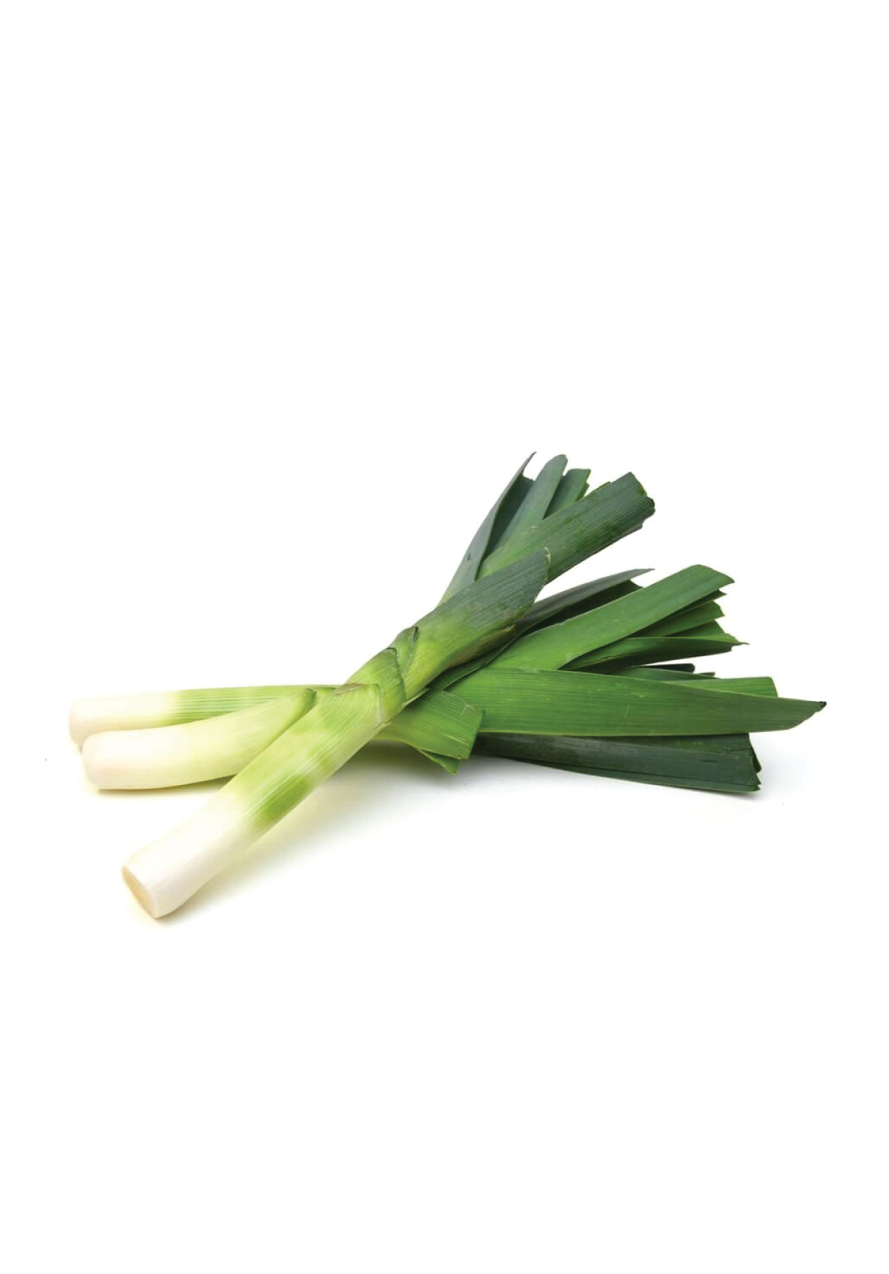 Leeks Seeds