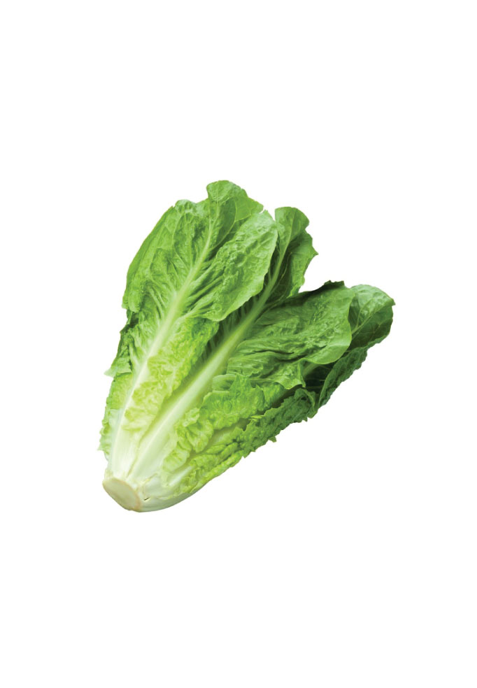 Lettuce