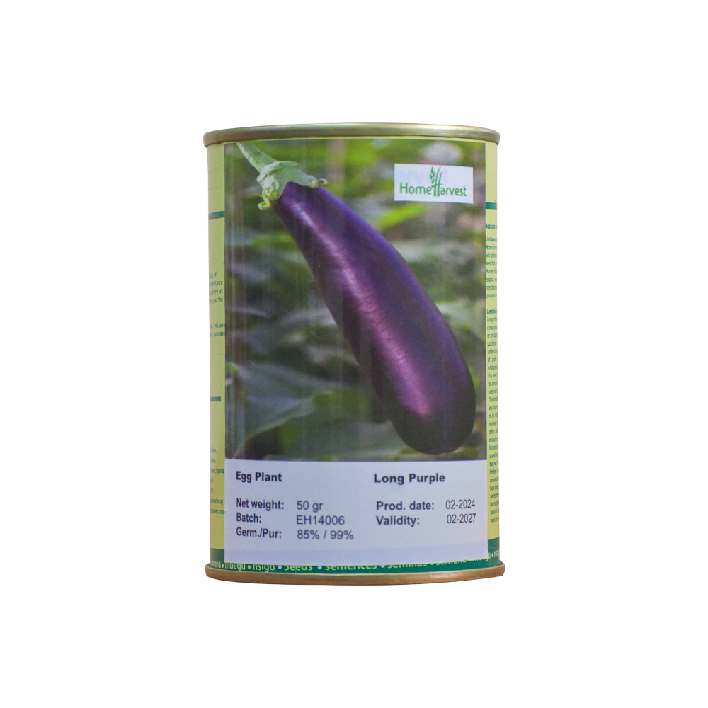 Long Purple Eggplant
