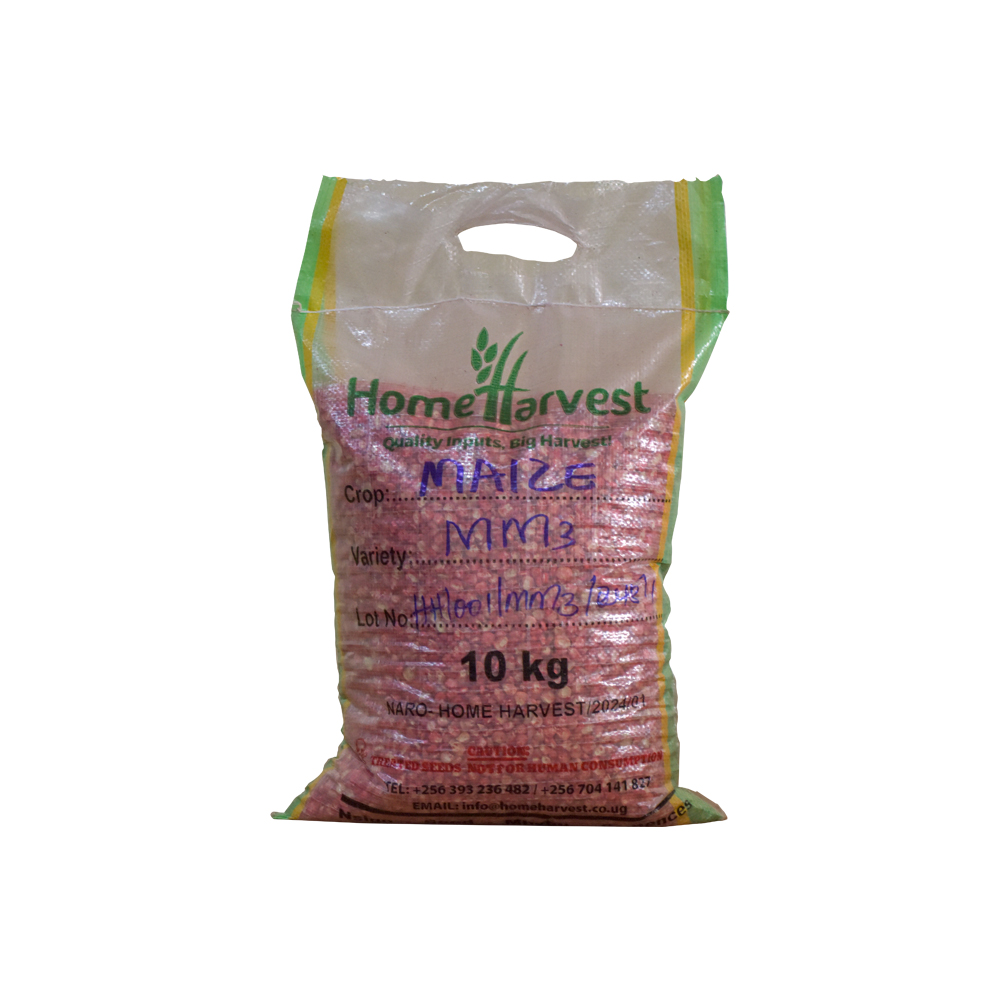 Myezi Mitatu (MM3) Maize