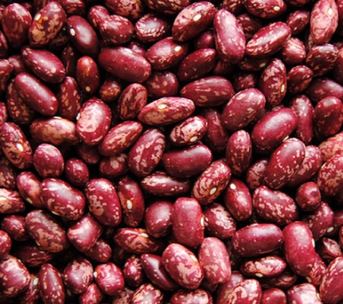 Nabe 15 Beans