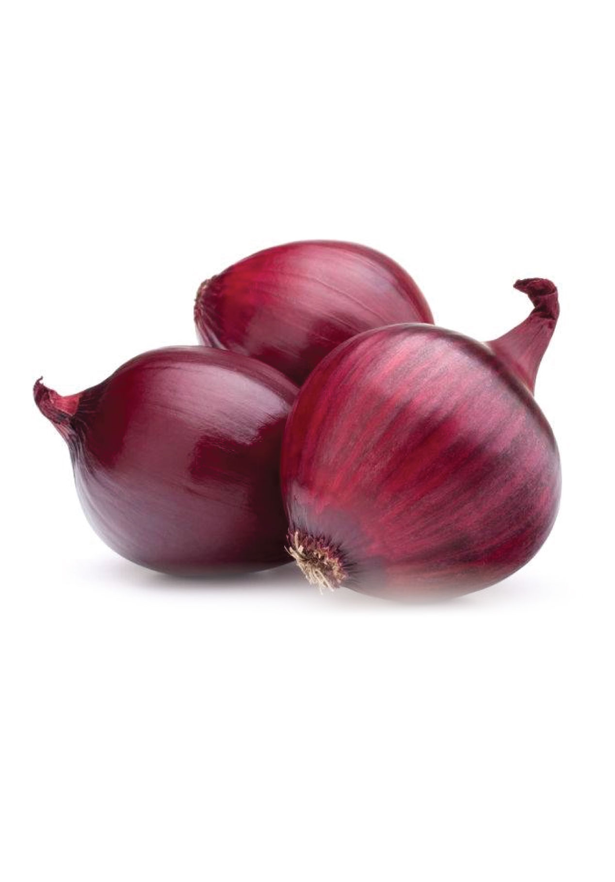Red Bombay Onion Seeds
