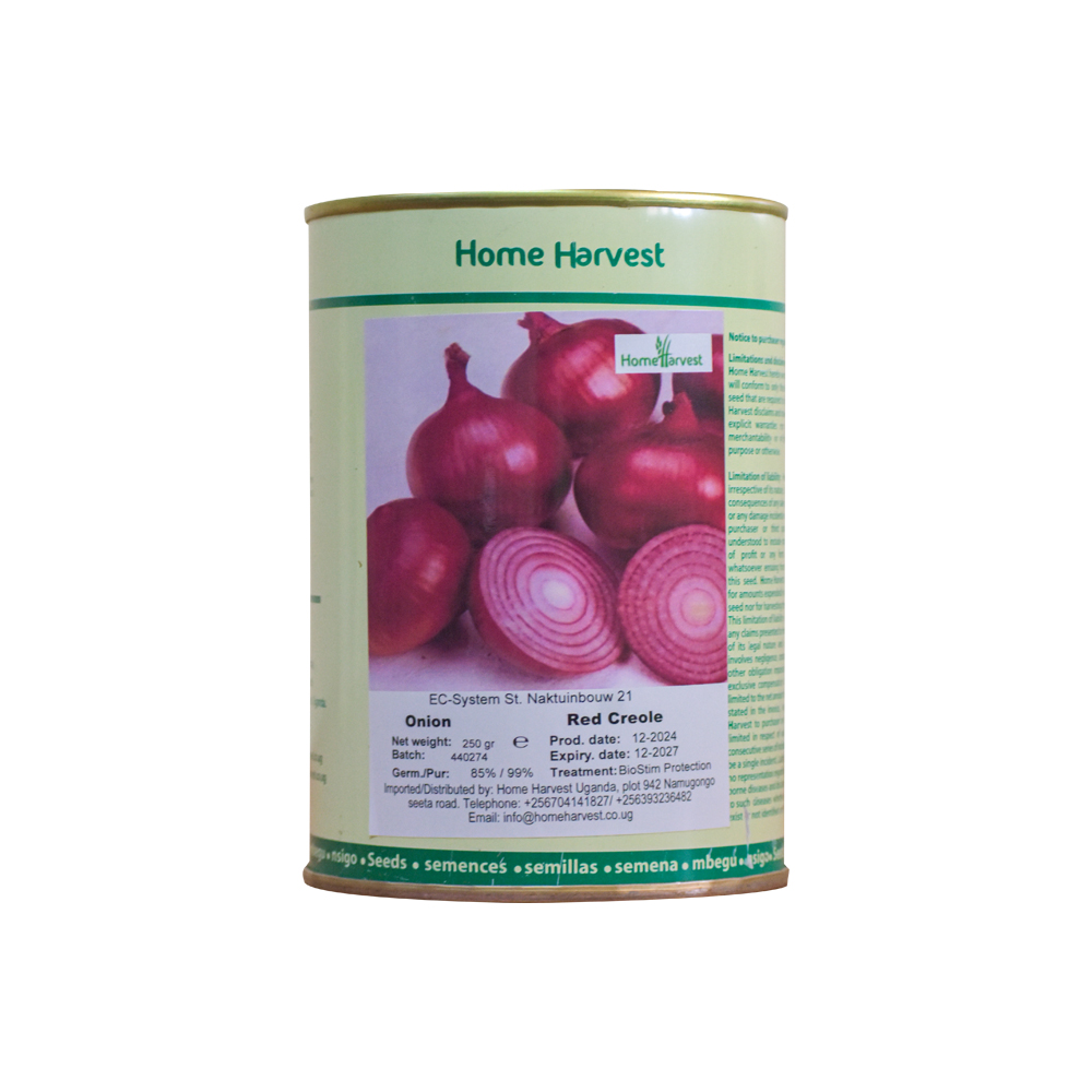Red Creole Onion Seeds