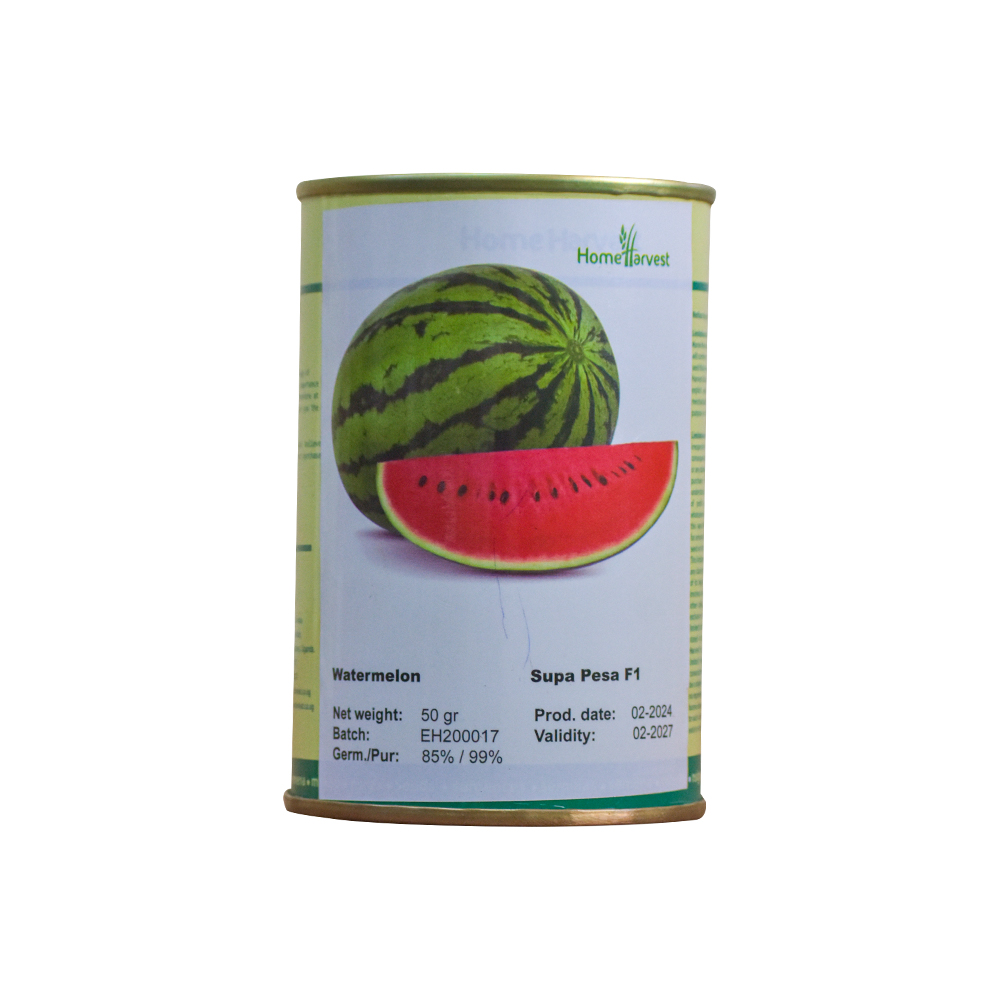 Melon Super Pesa F1