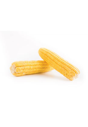 Sweet Corn Roi F1