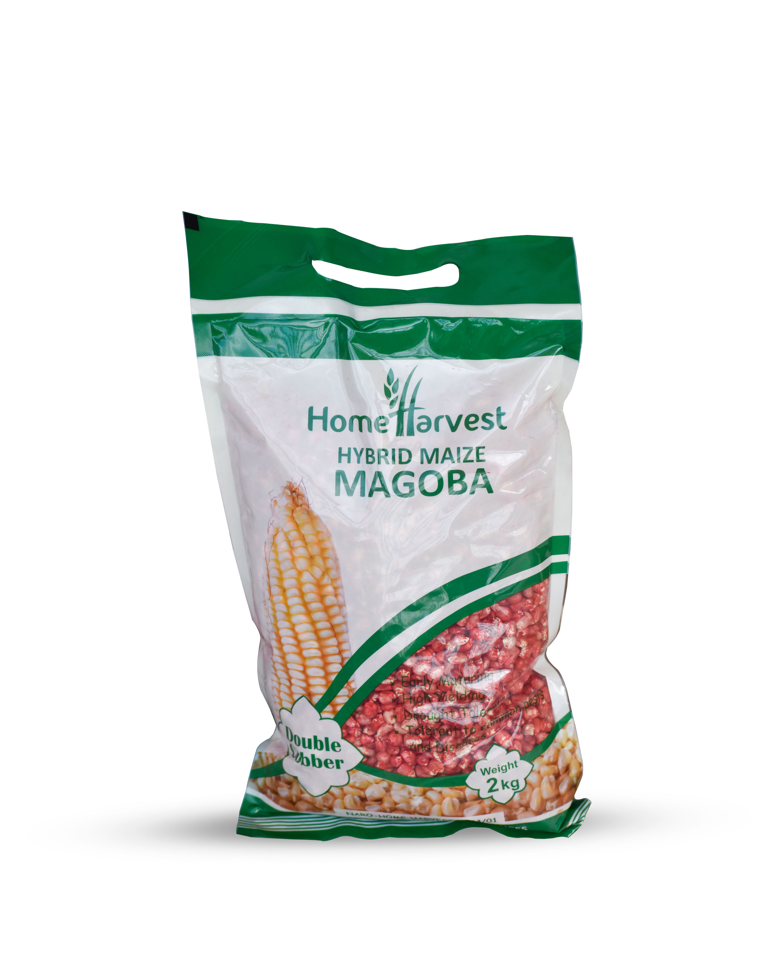  MAGOBA Hybrid Maize