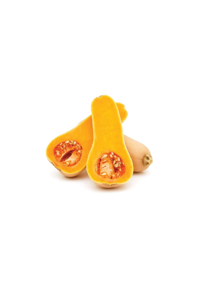 Squash Waltham Butternut