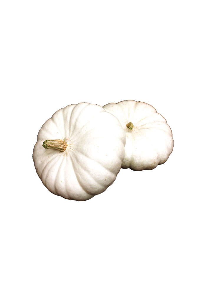 White Boer Pumpkin