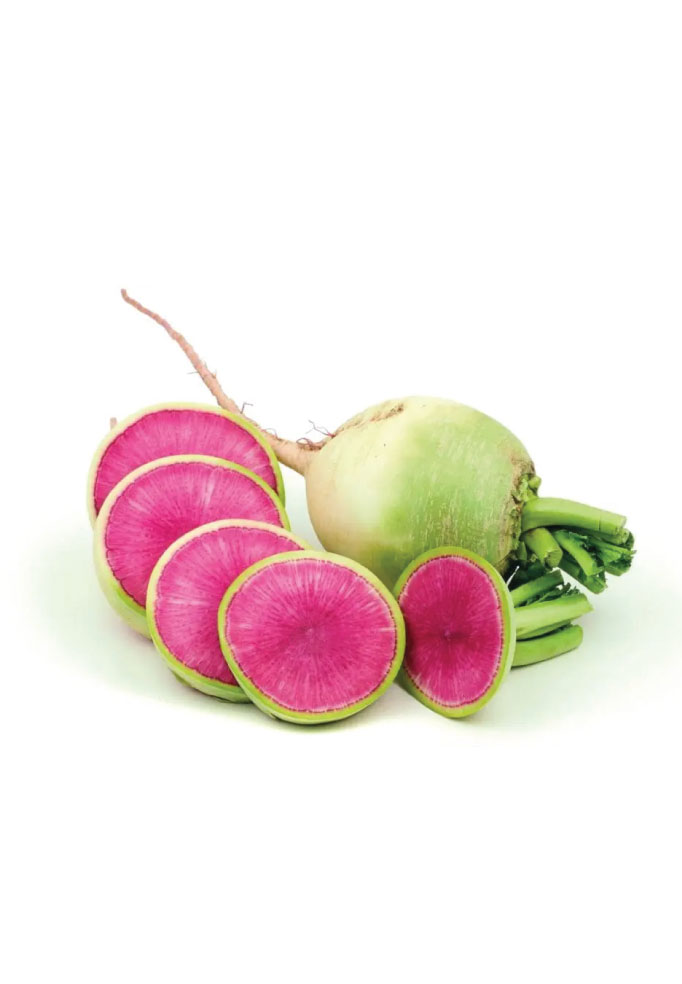 Winter Radish